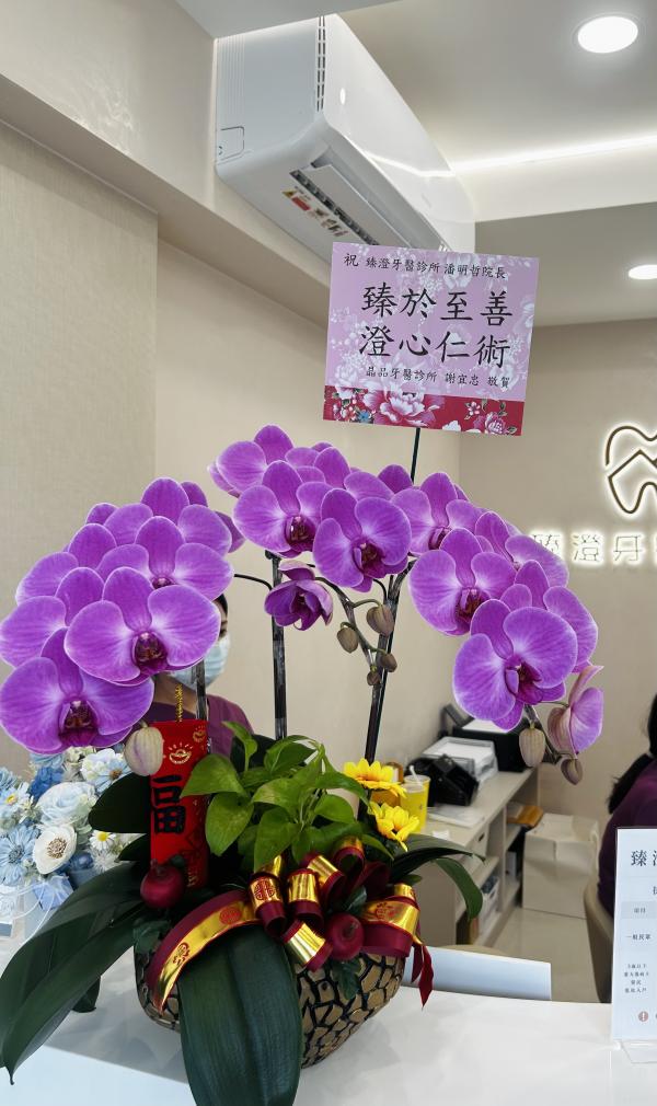 大展宏圖