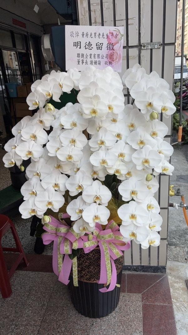 玉潔-2